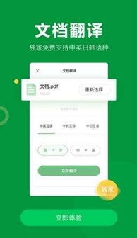如何翻译文档与使用翻译服务——全面指南